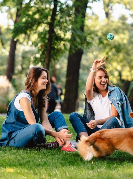 Two women sitting on grass in a park, playing with a Corgi dog who is chasing a thrown ball.