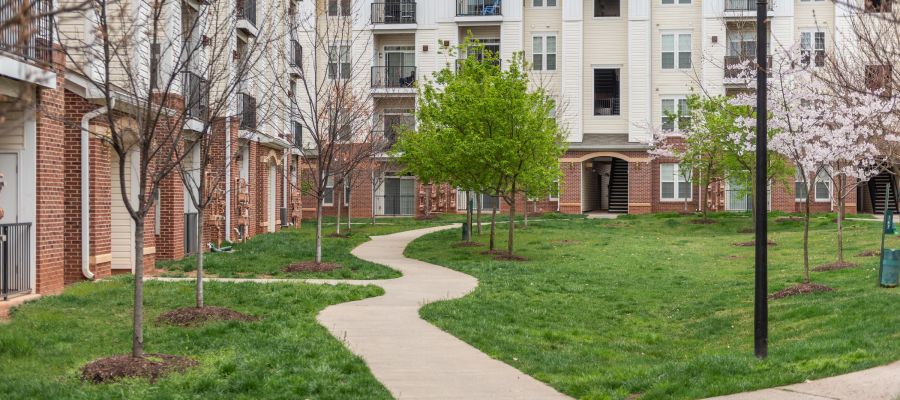 A winding sidewalk runs through a grassy courtyard surrounded by apartment buildings and young trees.